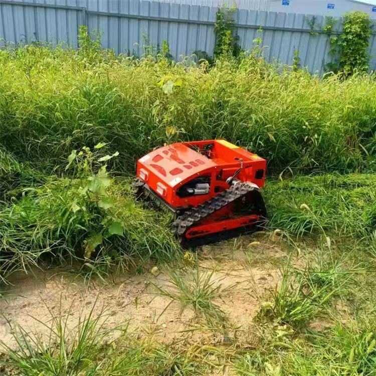Smart Remote Control Rotatin W - Smart Garden Trimmer 리뷰 및 가격
