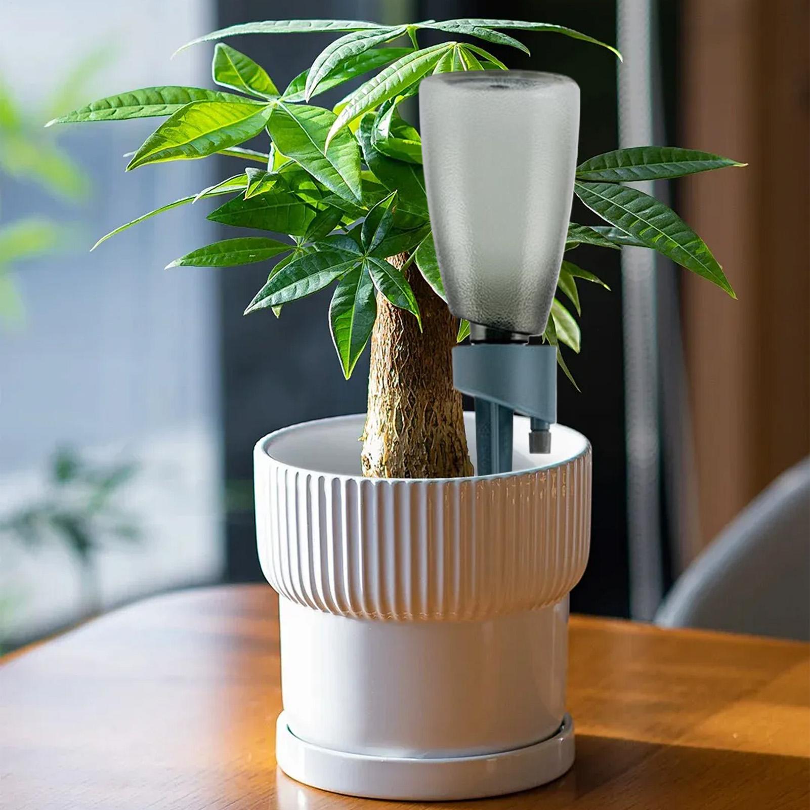 6pcs Automatic Waterer Househo - Smart Garden Furniture 리뷰 및 가격