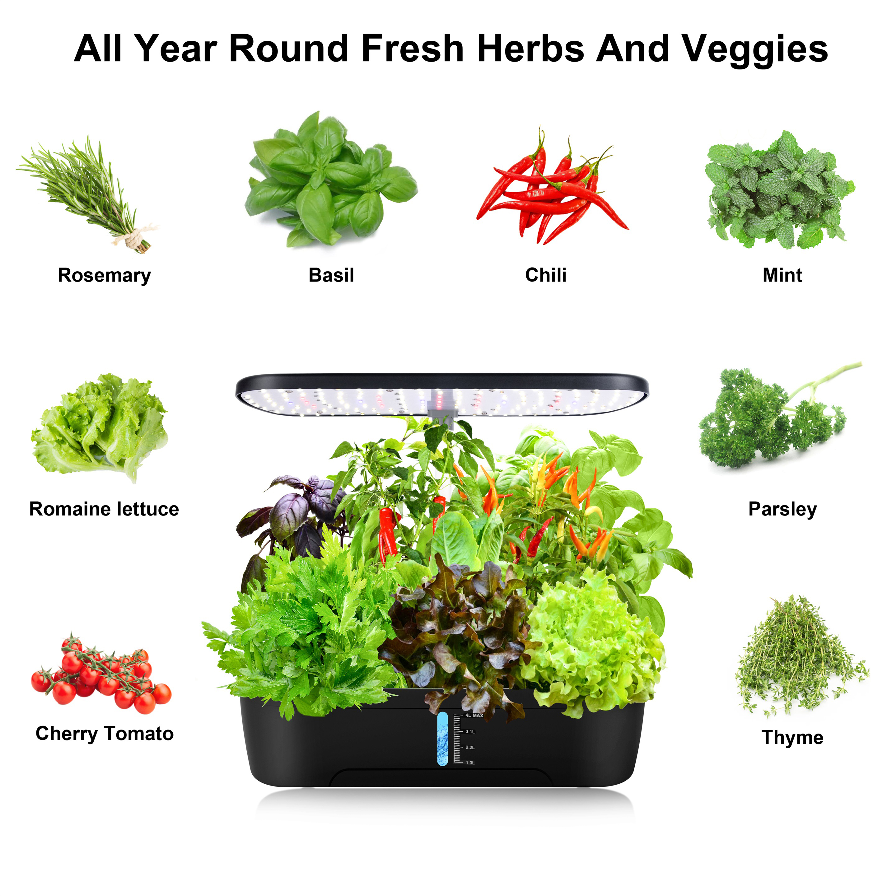 12 Pods Hydroponics Growing Sy - Smart Garden Furniture 리뷰 및 가격