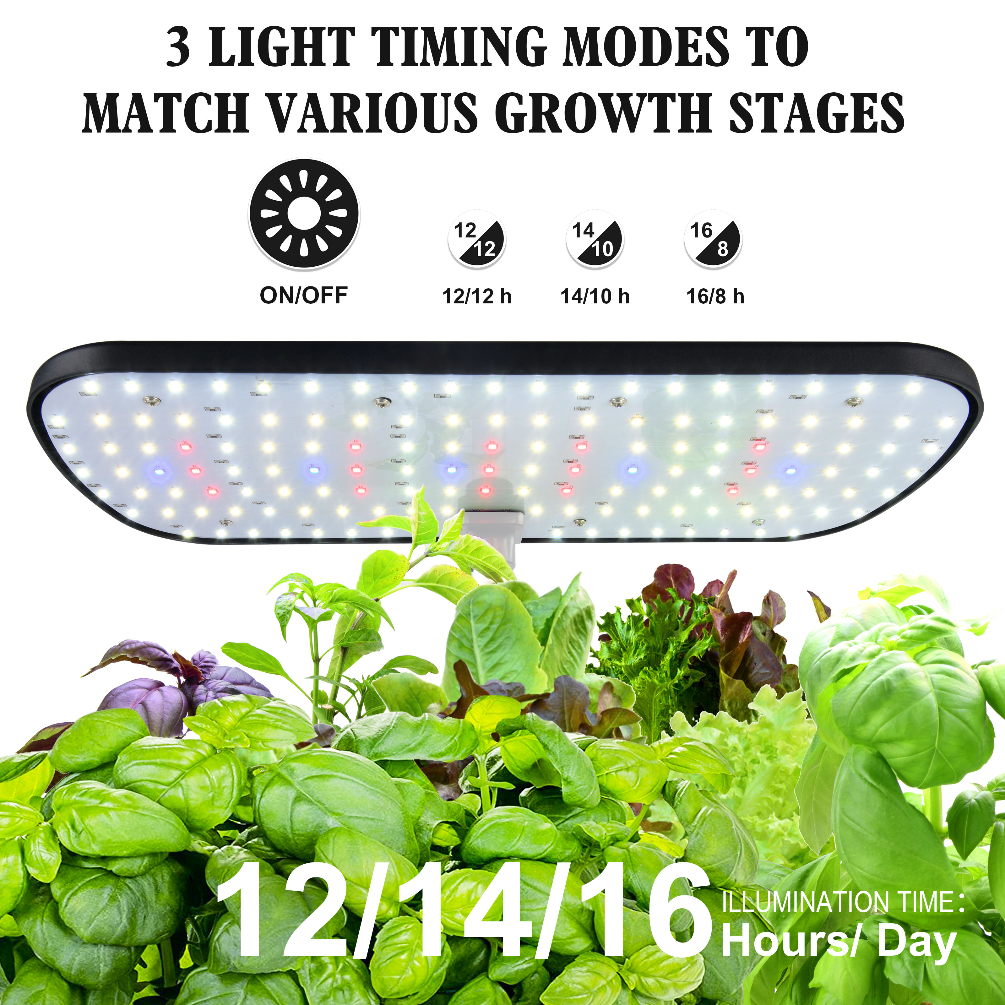 12 Pods Hydroponics Growing Sy - Smart Garden Furniture 리뷰 및 가격