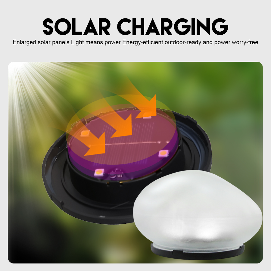Solar Stone Light Frosted Glas - Smart Garden Spotlights 리뷰 및 가격