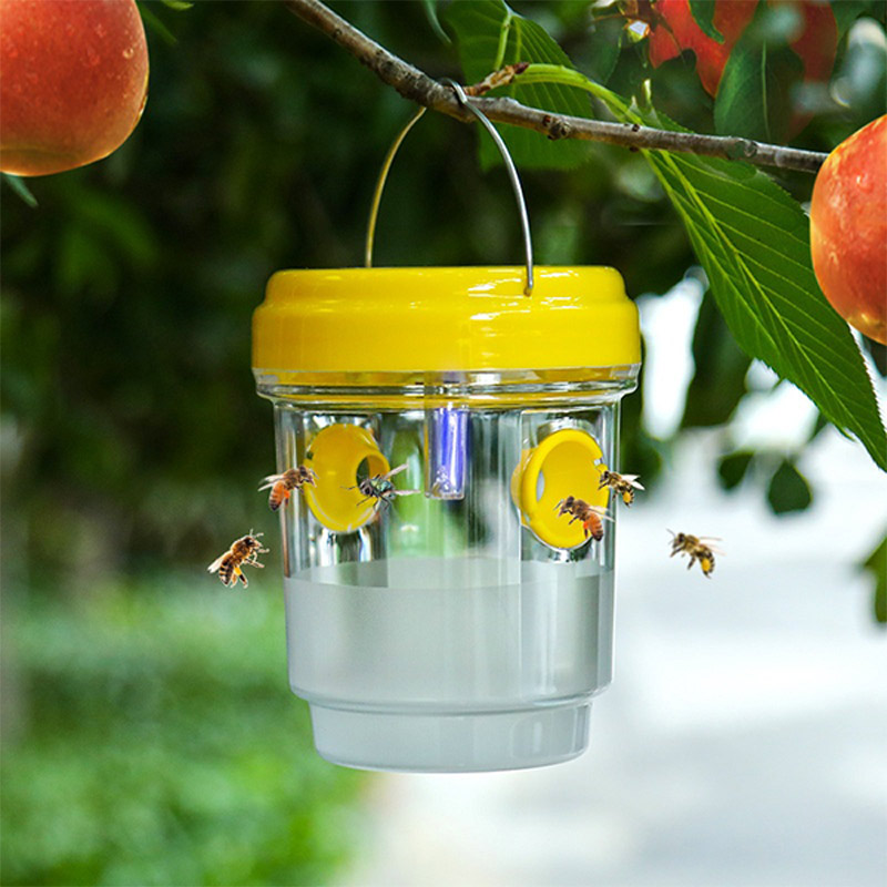 Solar Powered Fruit Fly Traps  - Smart Garden Spotlights 리뷰 및 가격