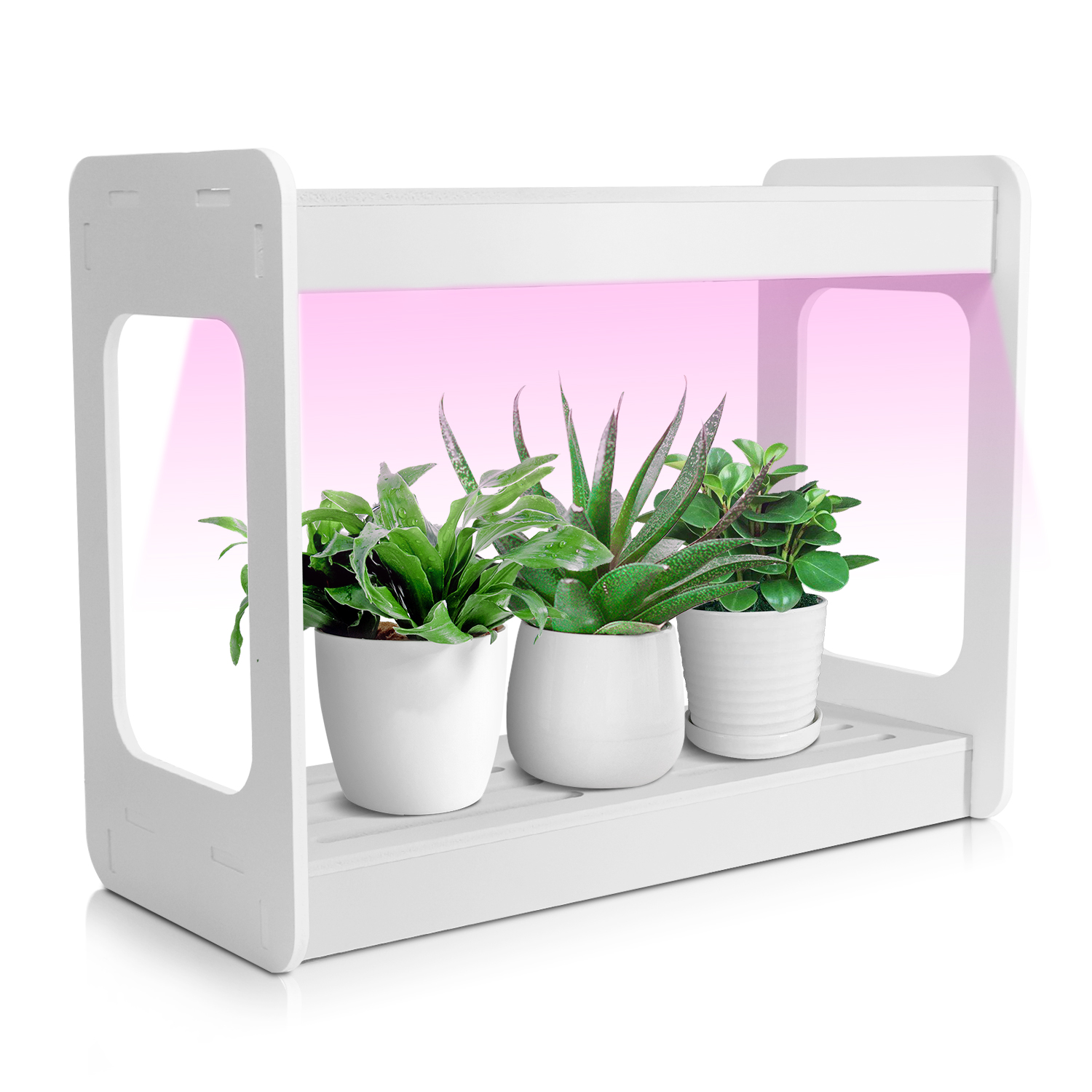 Smart Mini LED Grow Light Syst - Smart Gardening 리뷰 및 가격