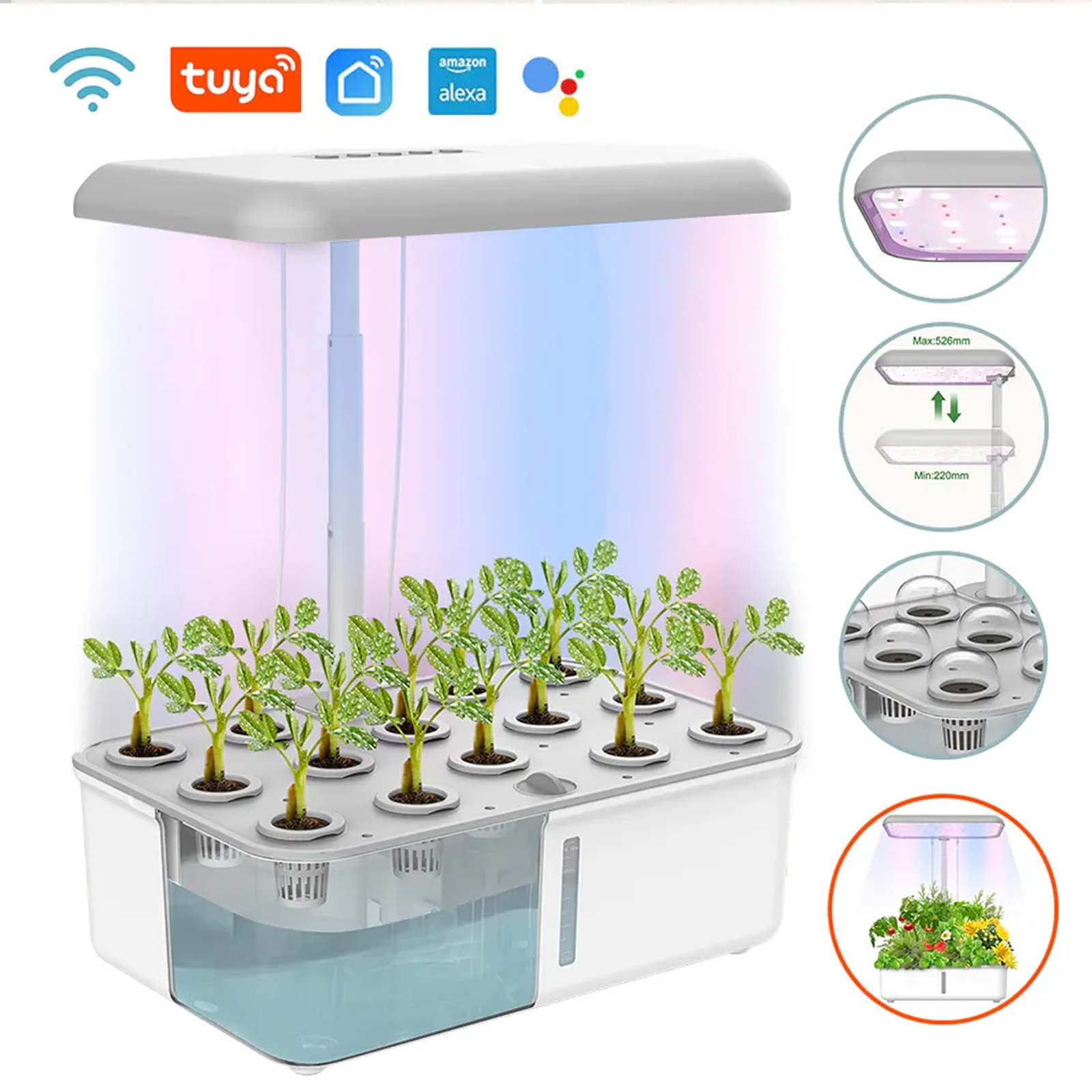 Tuya WiFi Plant Hydroponics Sy - Smart Garden Plastic Cups 리뷰 및 가격