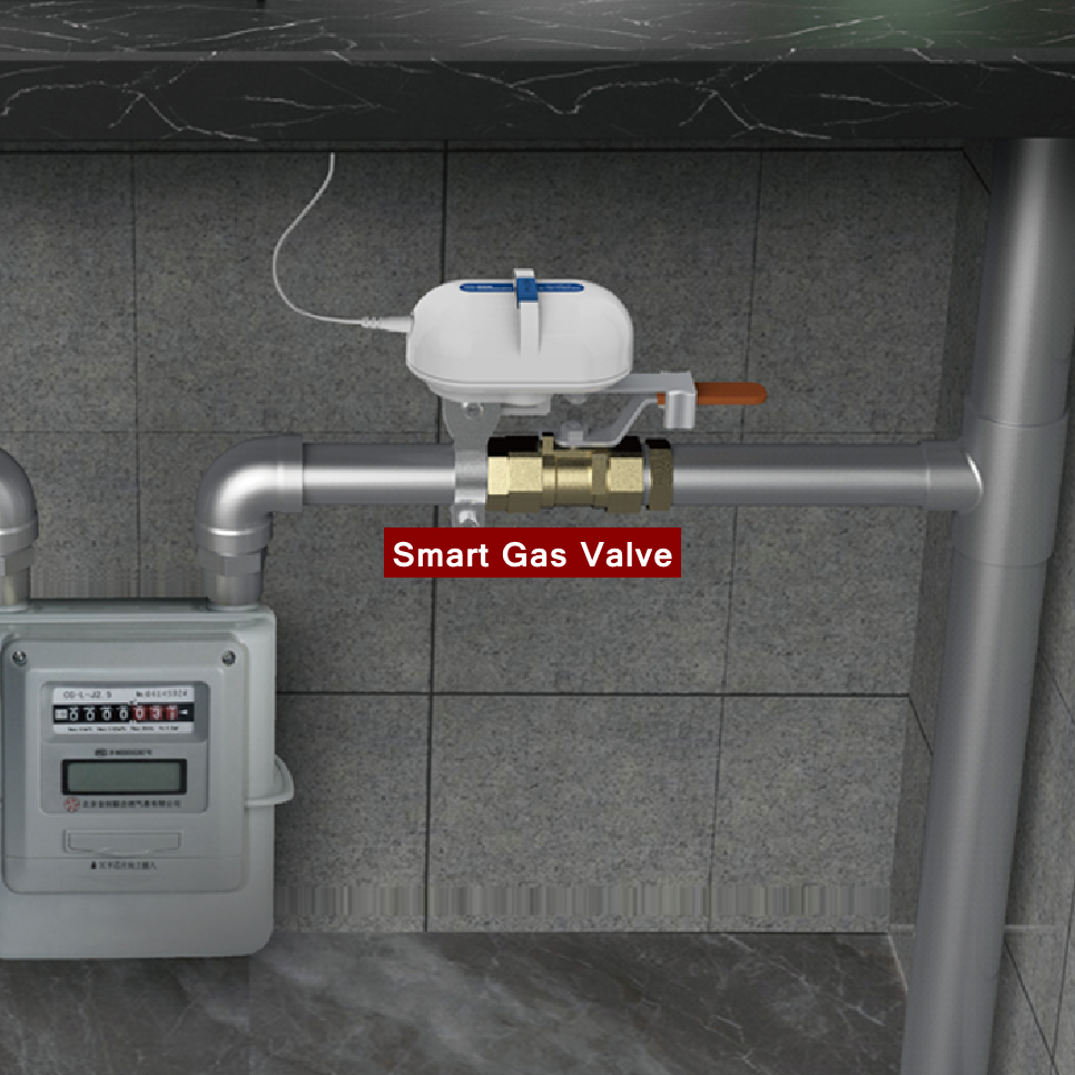 Tuya Smart Home WiFi Zigbee Wa - Smart Garden Zigbee 리뷰 및 가격