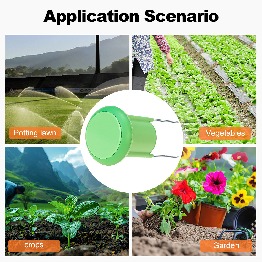 Zigbee Smart Soil Sensor Plant - Smart Garden Zigbee 리뷰 및 가격