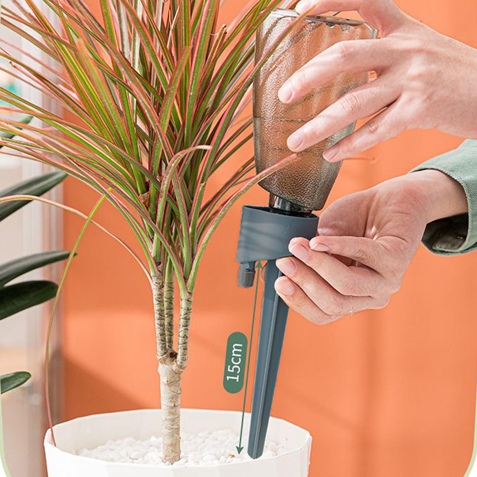 6pcs Automatic Waterer Househo - Smart Garden Furniture 리뷰 및 가격