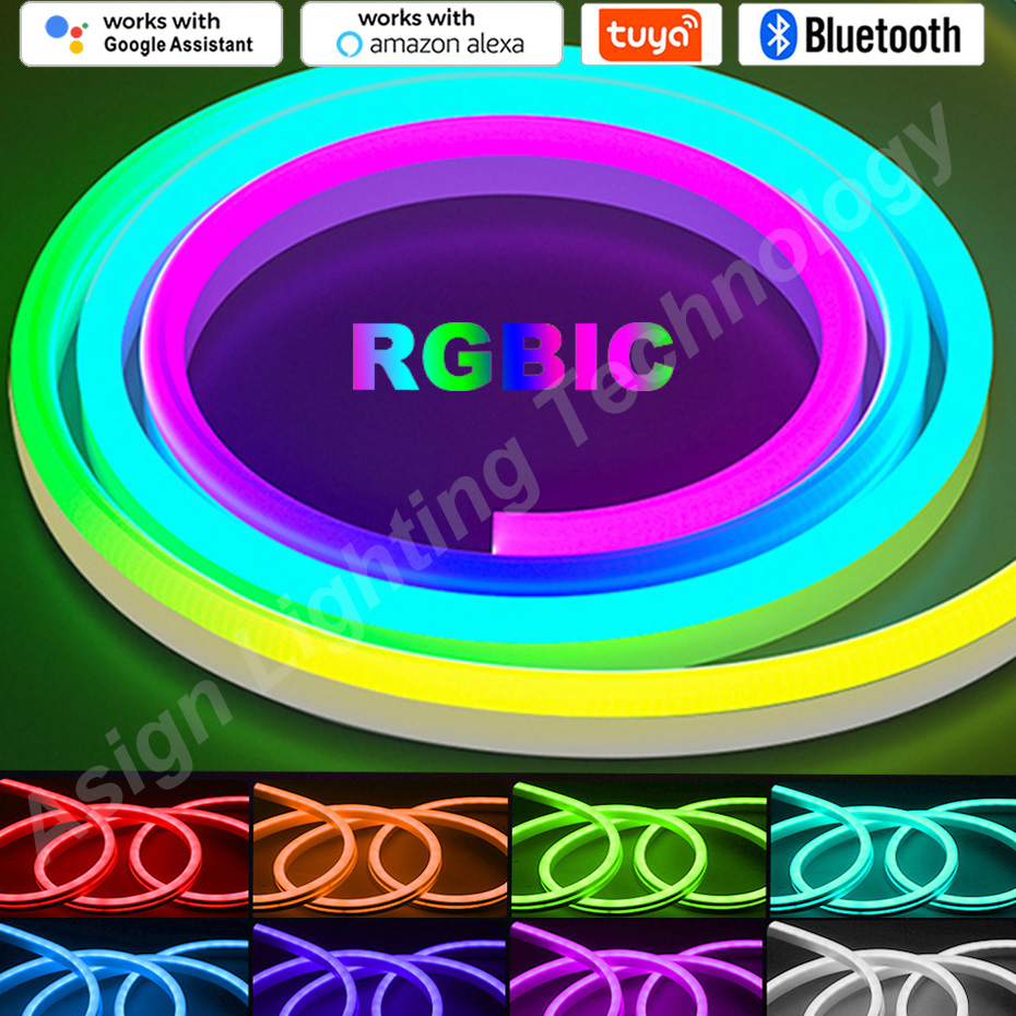 RGBIC LED Neon Strip 12V 96LED - App Smart Garden 리뷰 및 가격