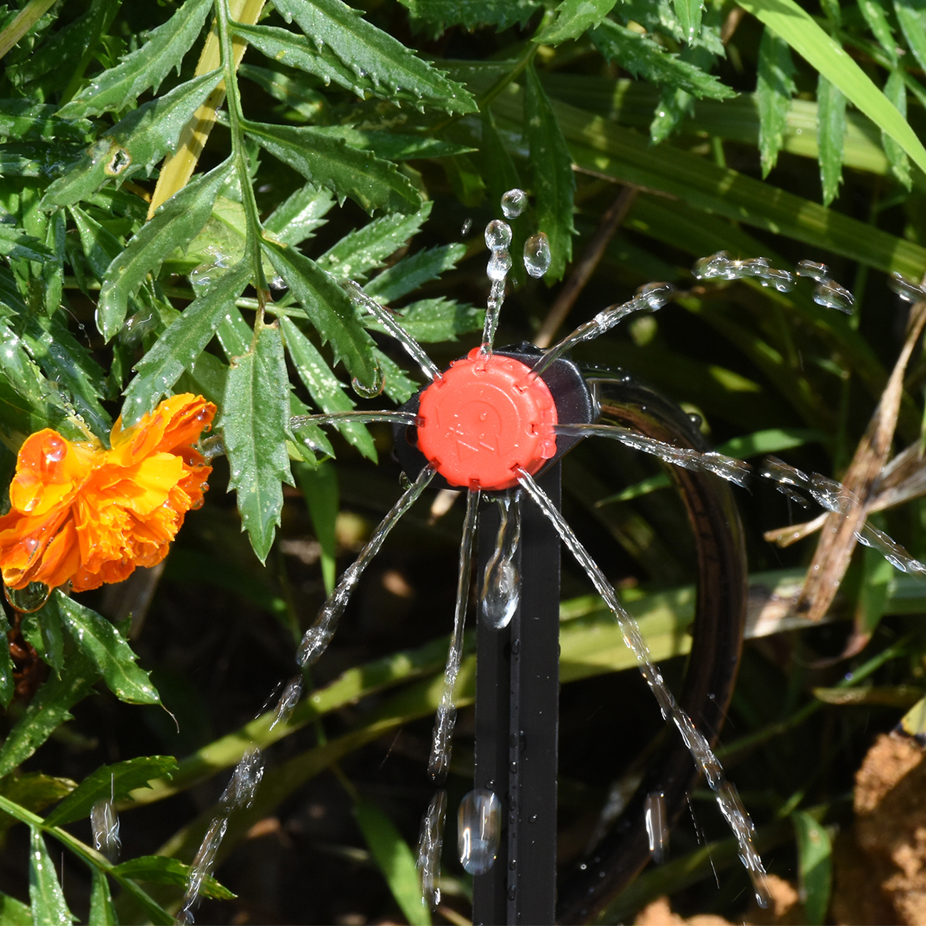 KESLA 5-50M Smart Garden Autom - Smart Garden Plastic Cups 리뷰 및 가격