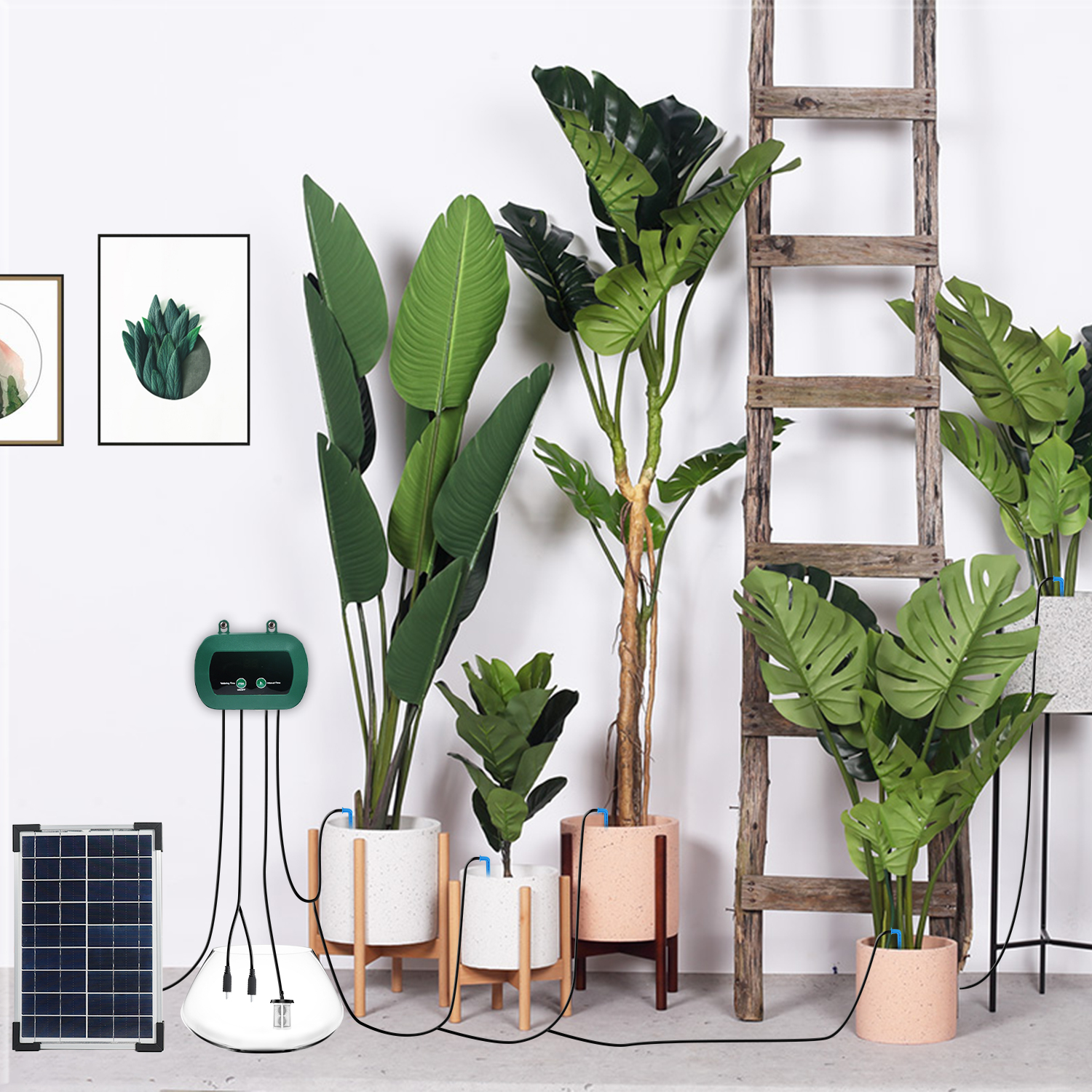Solar Hydroponics Equipment  M - Smart Gardening 리뷰 및 가격