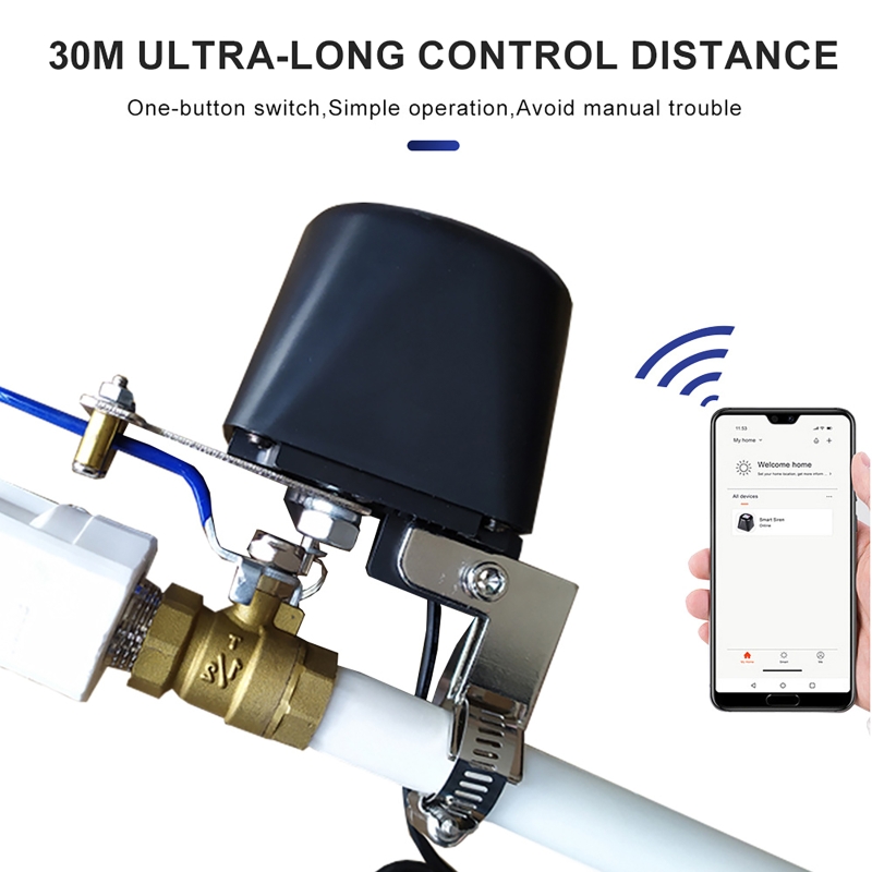 Tuya Smart Gas Valve WIFI Gard - Smart Garden Timer 리뷰 및 가격