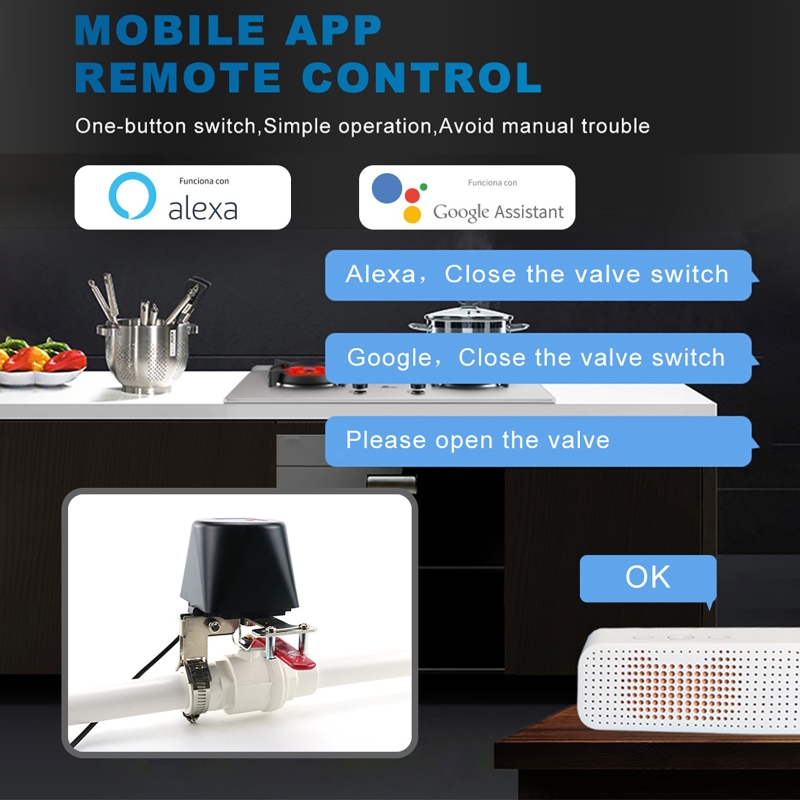 Tuya Smart Gas Valve WIFI Gard - Smart Garden Timer 리뷰 및 가격