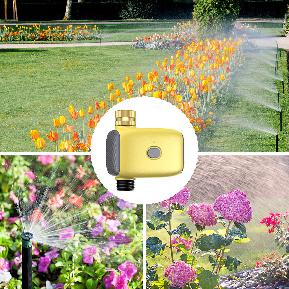 Wholesale Smart Digital  Water - Smart Gardening 리뷰 및 가격
