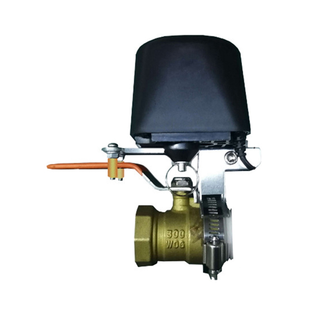 (A02R] Tuya Smart WiFi Water V - Smart Gardening 리뷰 및 가격